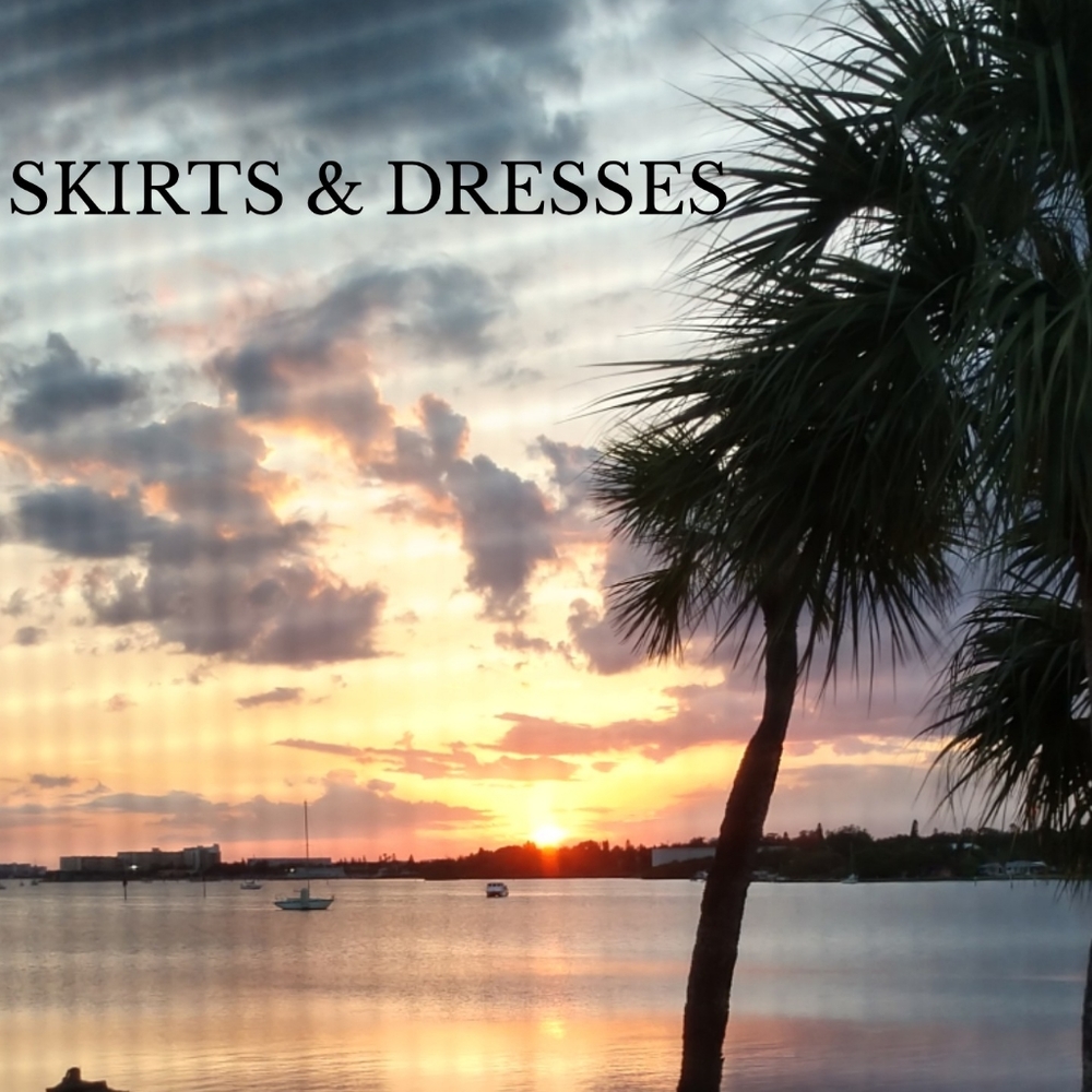 ANTIQUE, VINTAGE, NWT, NWOT, & EUC Skirts & Dresses